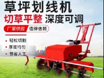 點(diǎn)擊查看詳細(xì)信息<br>標(biāo)題：草皮劃線(xiàn)機(jī) 閱讀次數(shù)：2181